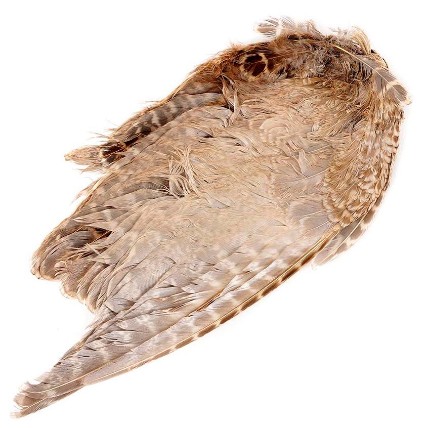 Female Ringneck Pheasant Wing - Natural