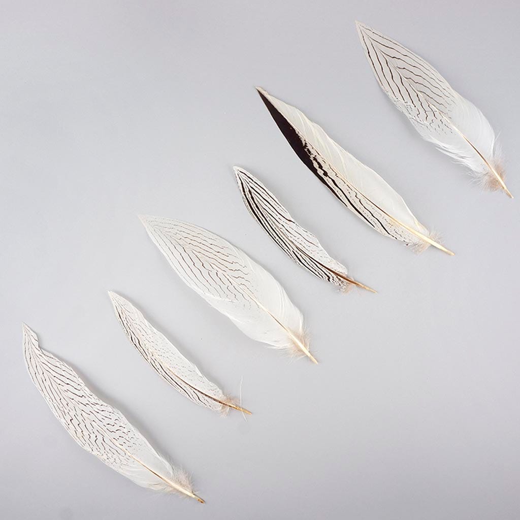 Silver Pheasant Tail Feathers - Natural - 8 - 12"