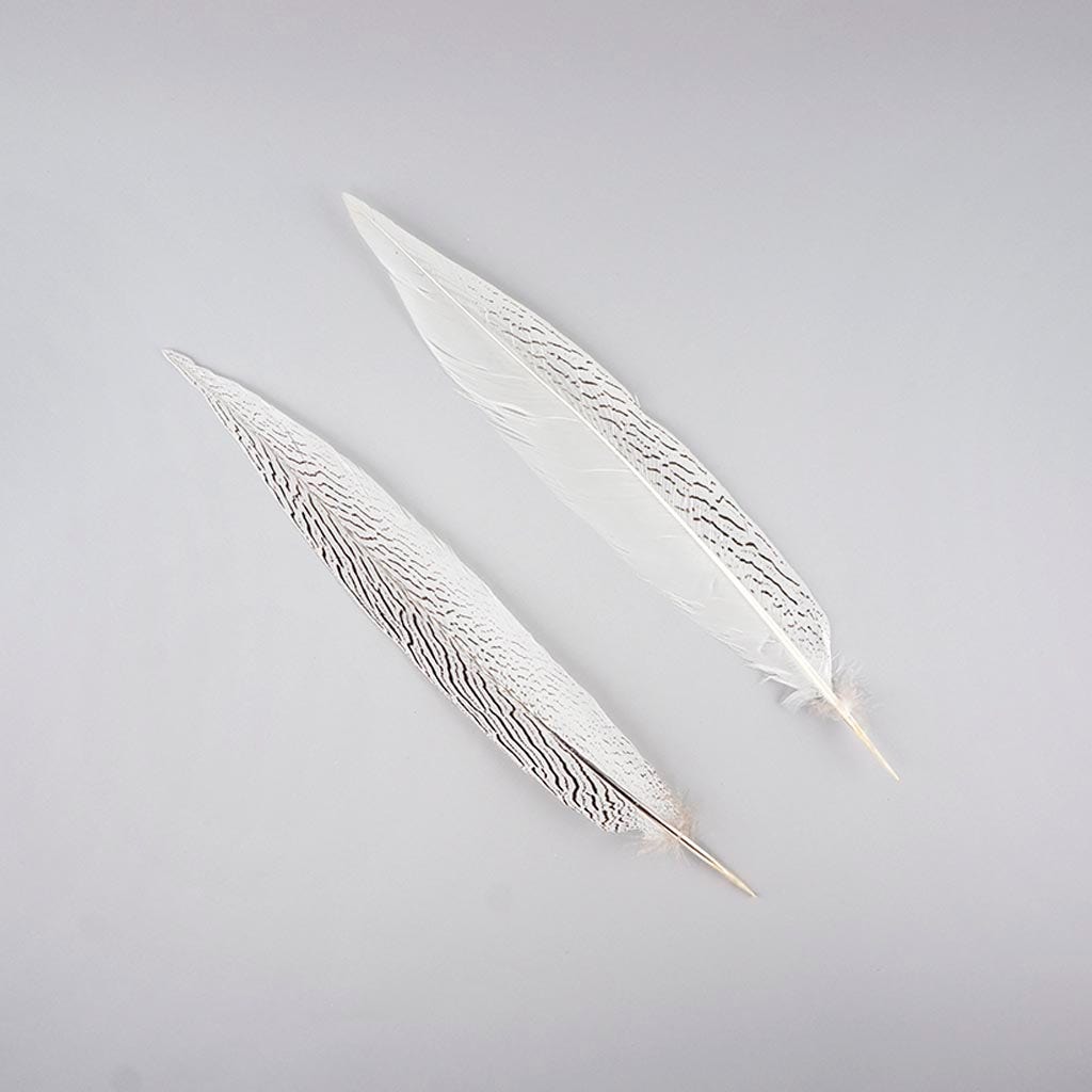 Silver Pheasant Tail Feathers - Natural - 16 - 20"