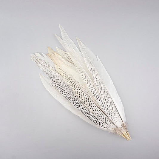 Silver Pheasant Feather Dyed 60cm Pale Blue
