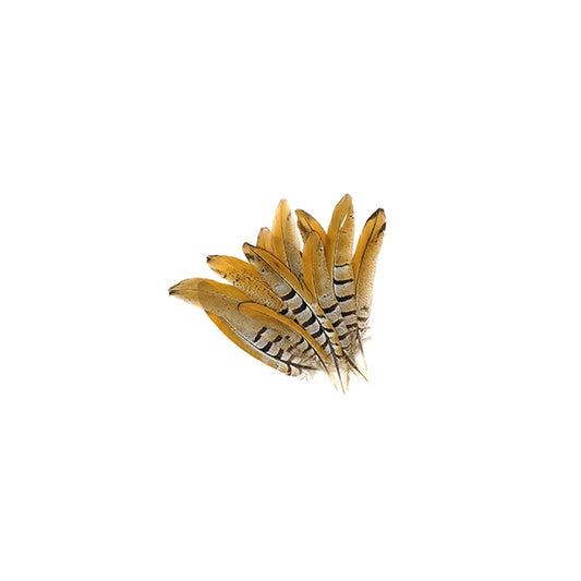 Venery Pheasant Tails - Natural - 6 - 8"