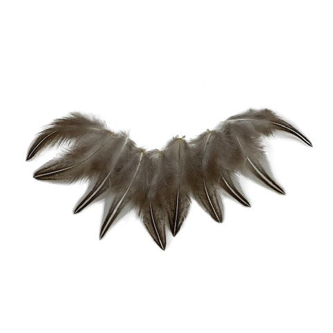 Jungle Cock Natural Black and White Plum Loose 1-3" 10 PC/PKG