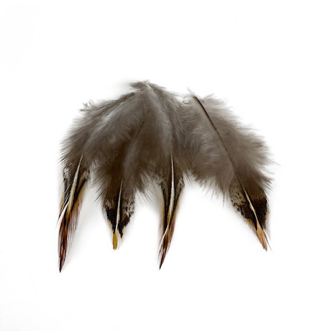 Jungle Cock Body Feather Tips Loose 2-3" 10 PC/PKG