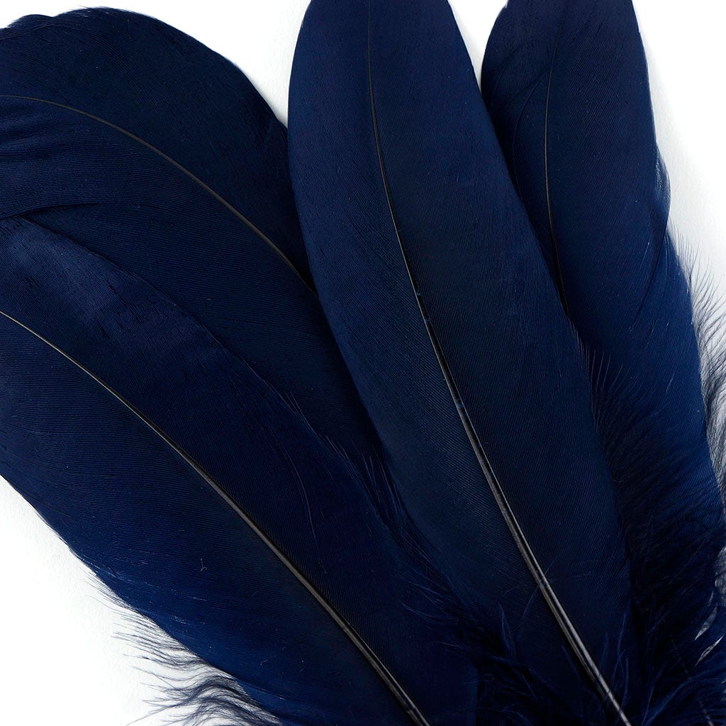 Bulk Goose Pallet Feathers 6-8 Inch - 1/4 LB - Navy