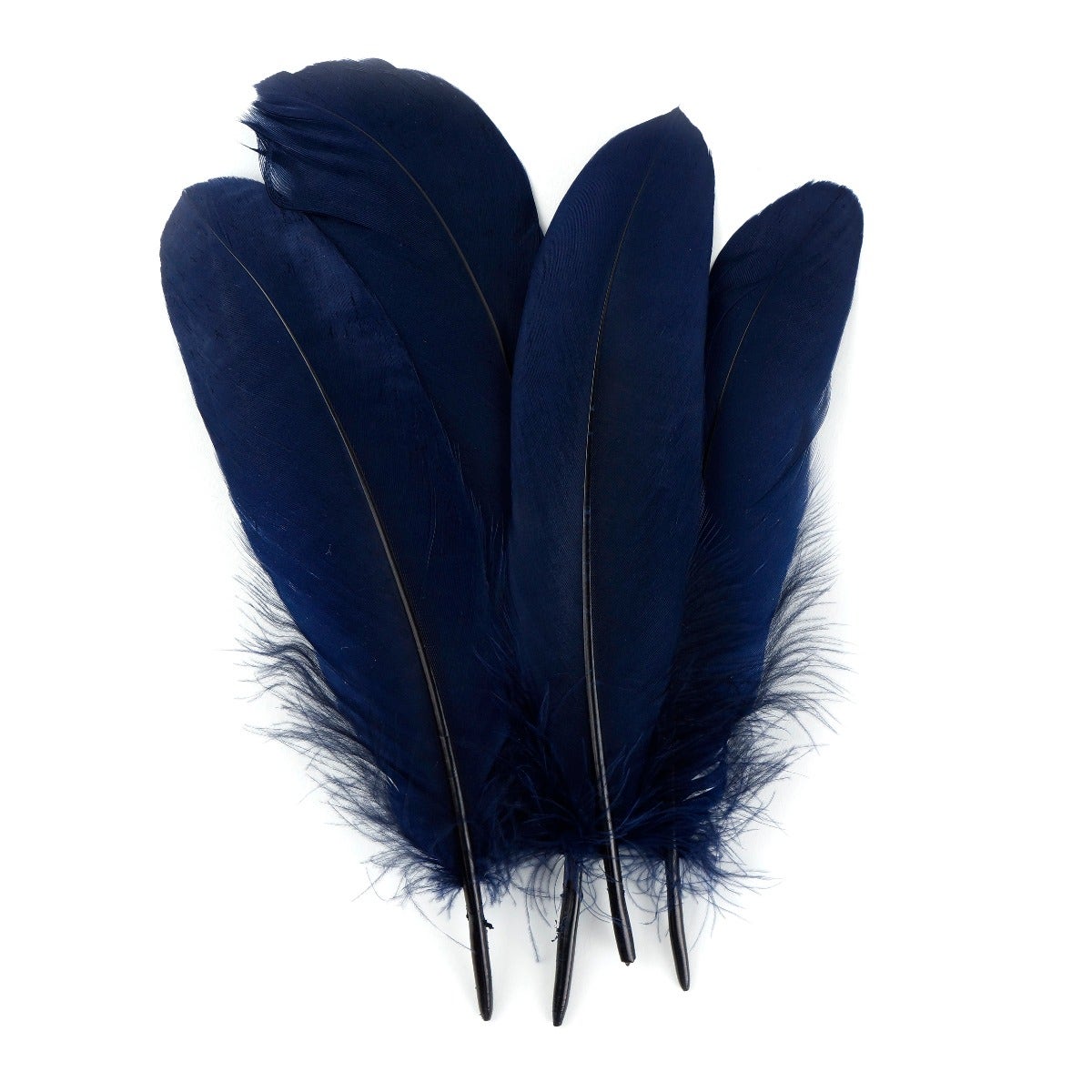 Goose Pallet Feathers 6-8