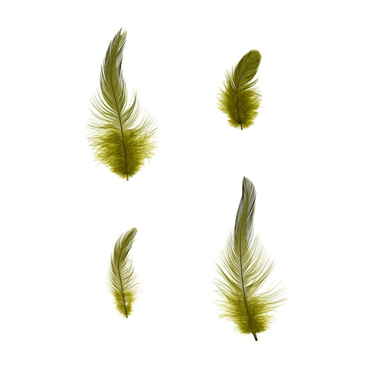 Rooster Hackle-White-Dyed - Olive