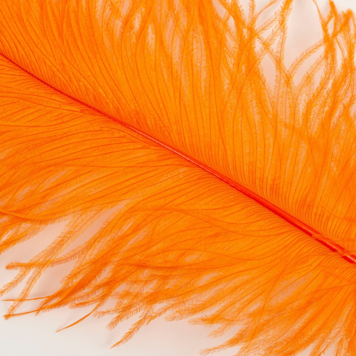 Ostrich Tails 16-18 inch - 30 PC - Orange