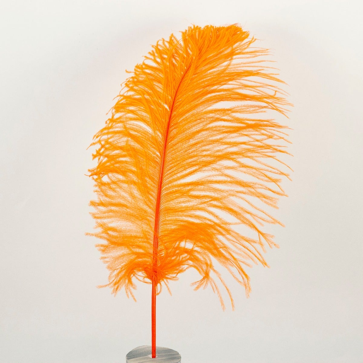 Ostrich Tails 16-18 inch - 30 PC - Orange