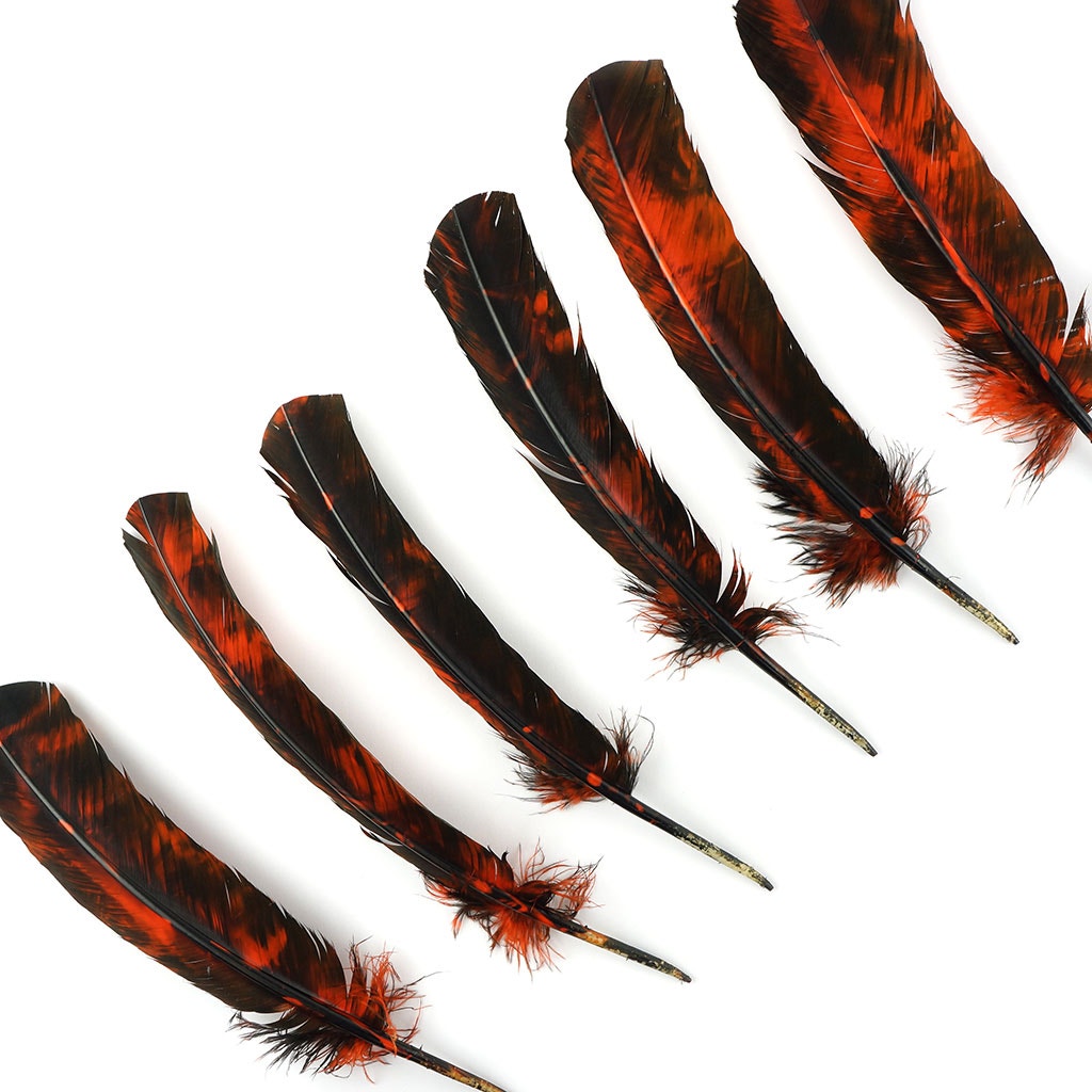 Turkey Quill Right Wing - Tie Dye - Orange & Black