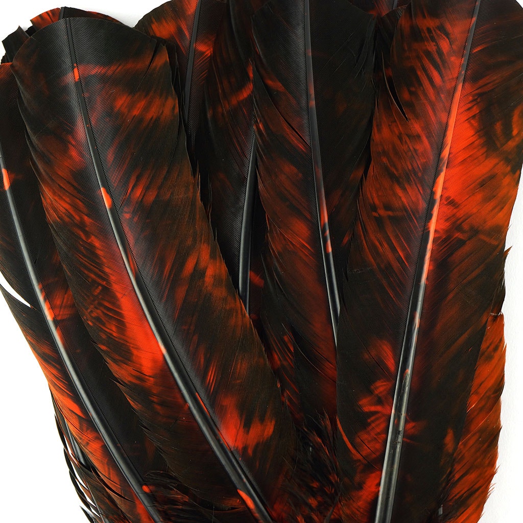 Turkey Quill Right Wing - Tie Dye - Orange & Black