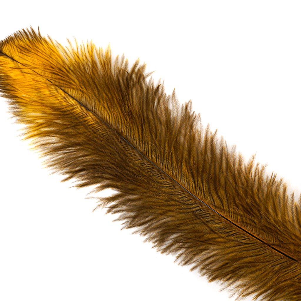 Ostrich Feathers-Floss - Mango