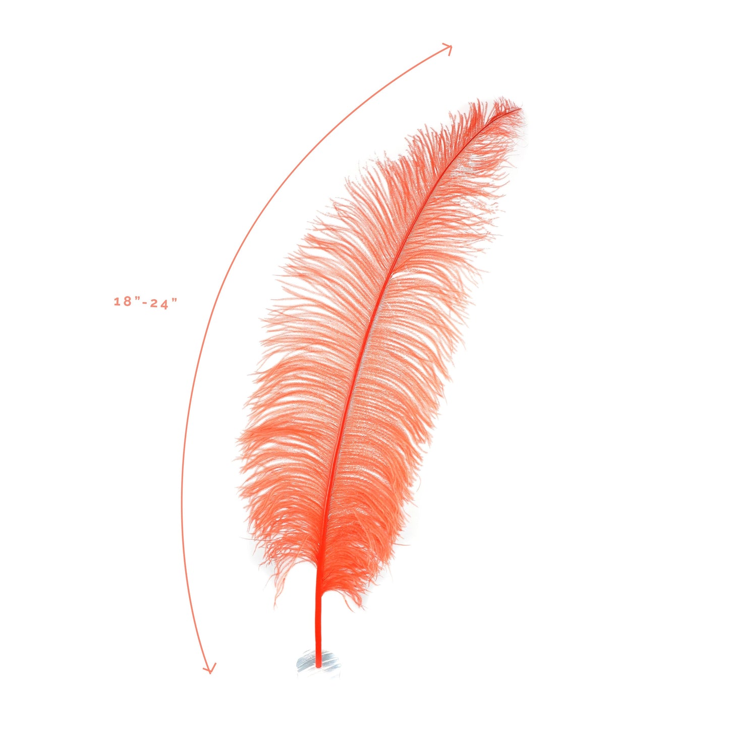 Ostrich Selected Spad Feathers [Premium Top Quality] Hot Orange