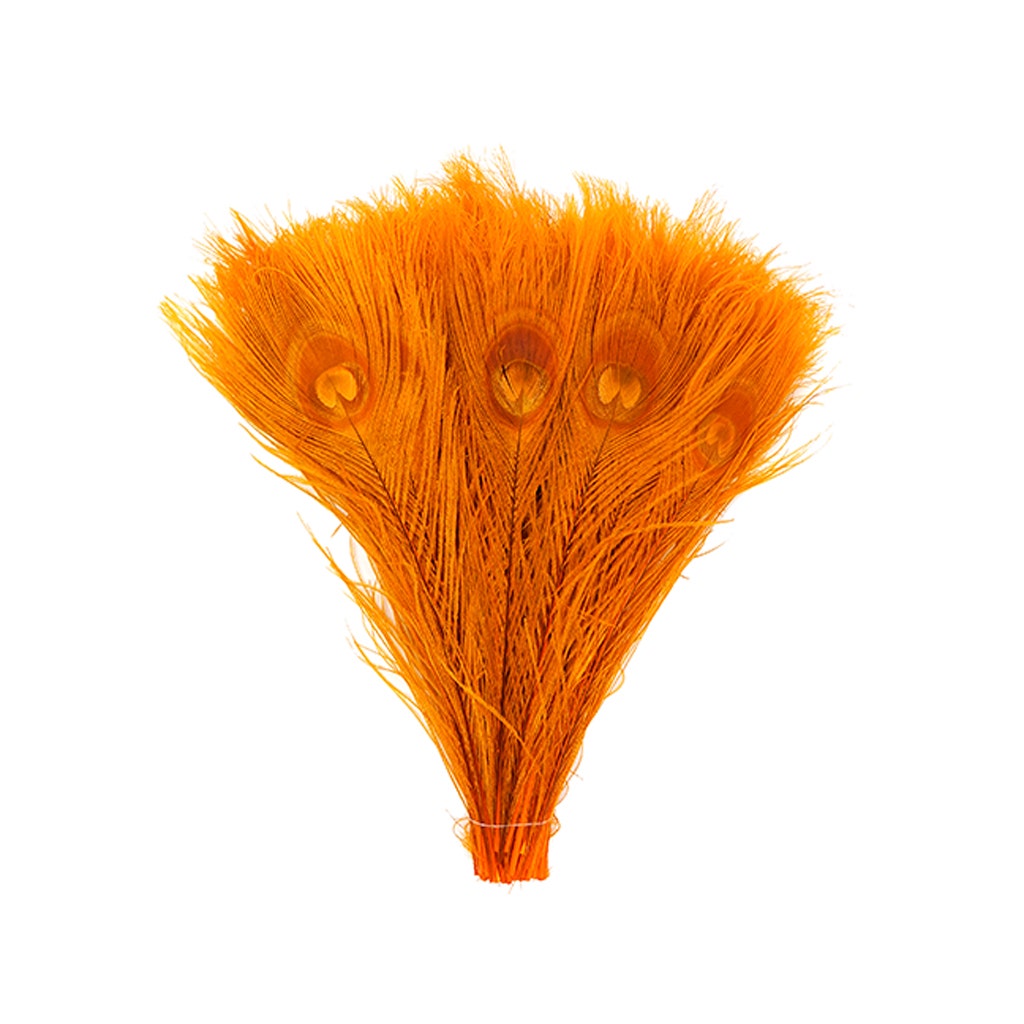 Peacock Tail Eyes Bleached and Dyed - 8-15” - 100 pc - Orange