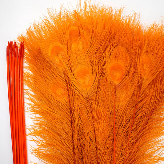 Peacock Tail Eyes Bleached Dyed - Orange