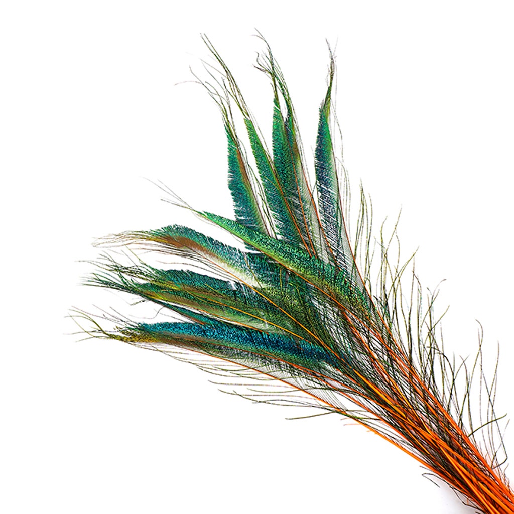 Peacock Swords Stem Dyed - Orange