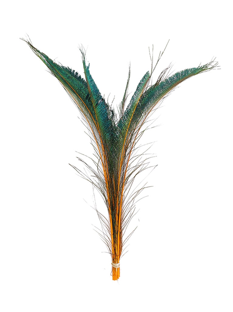 Peacock Swords Stem Dyed - Orange