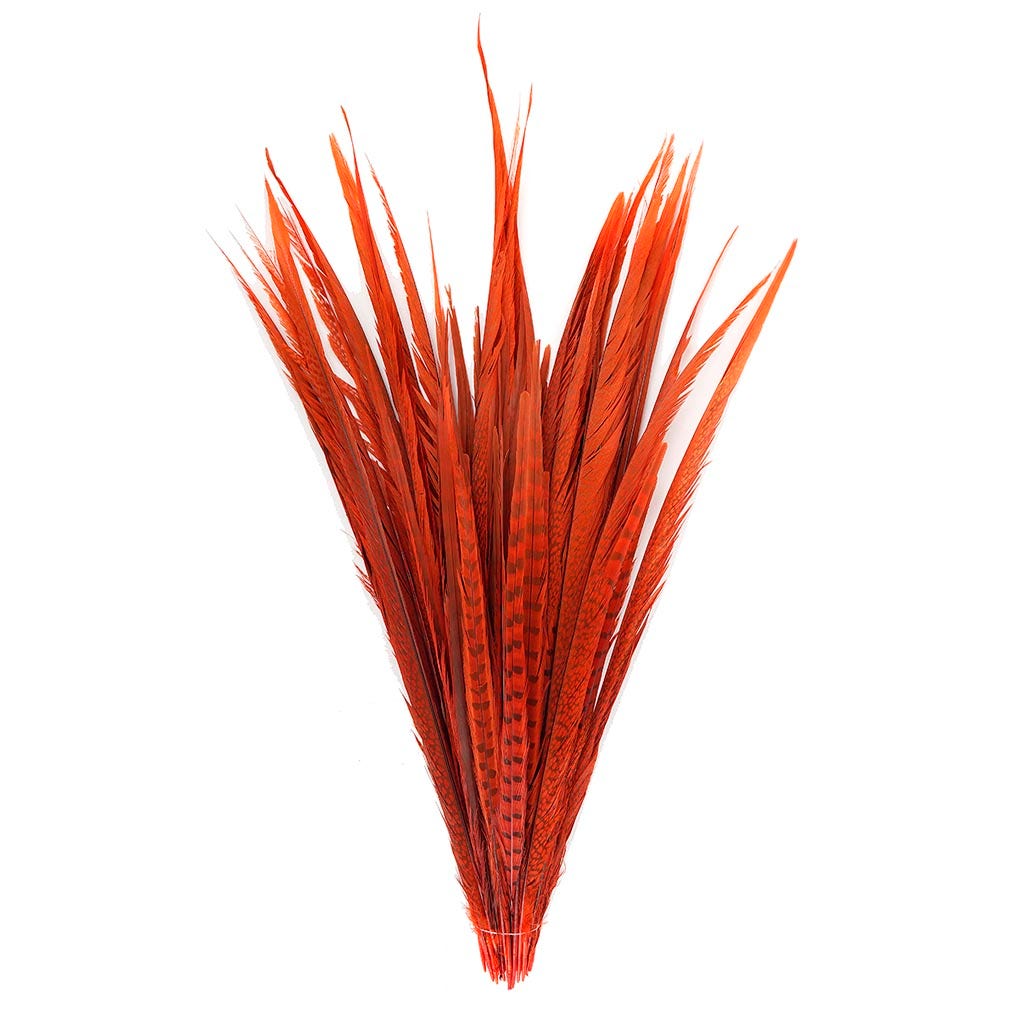 Assorted Pheasant Tails Dyed - Orange