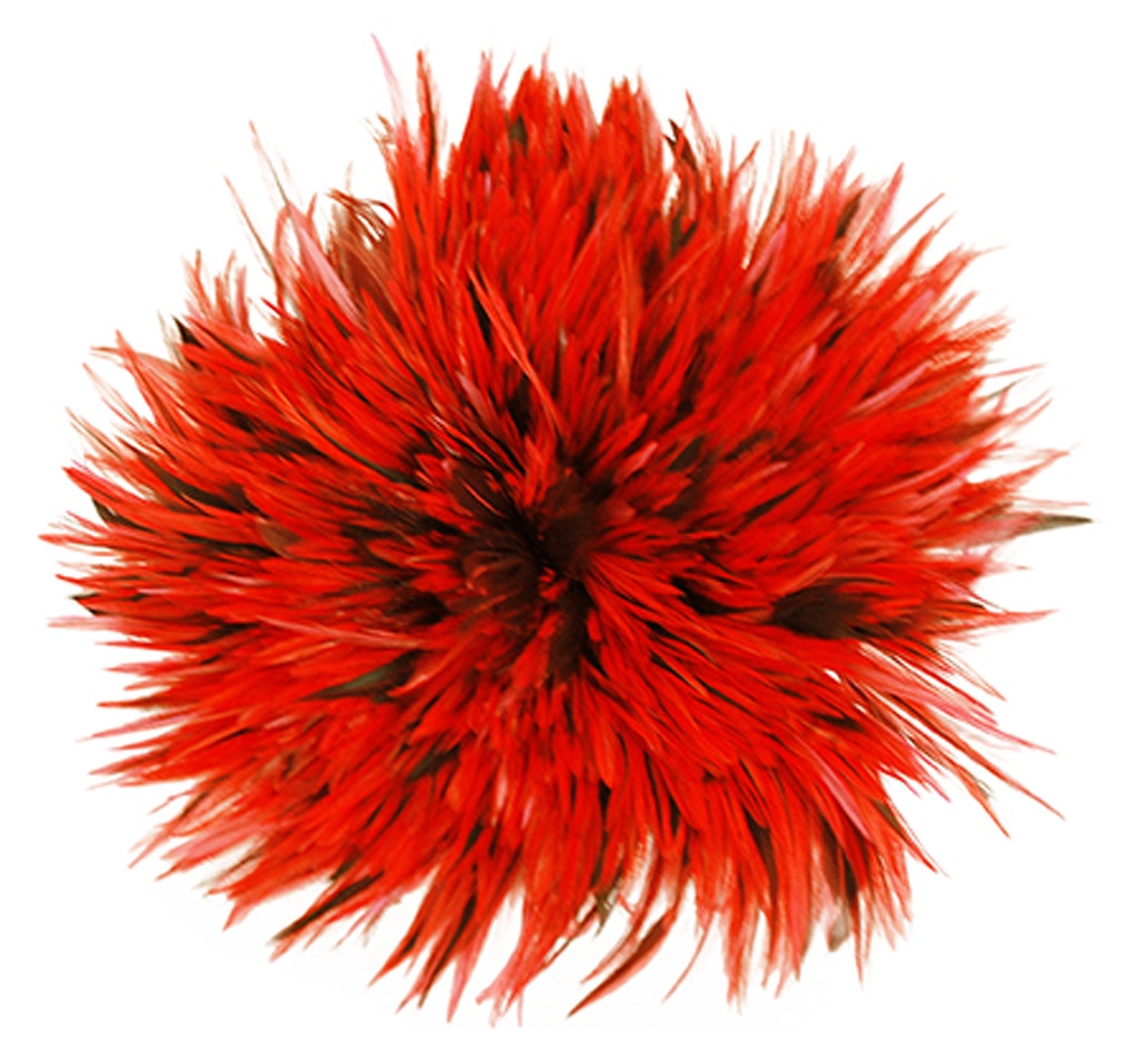 Badger Rooster Saddle Feathers Strung - 1 Yard 4-6" Rooster Feathers - Hot Orange