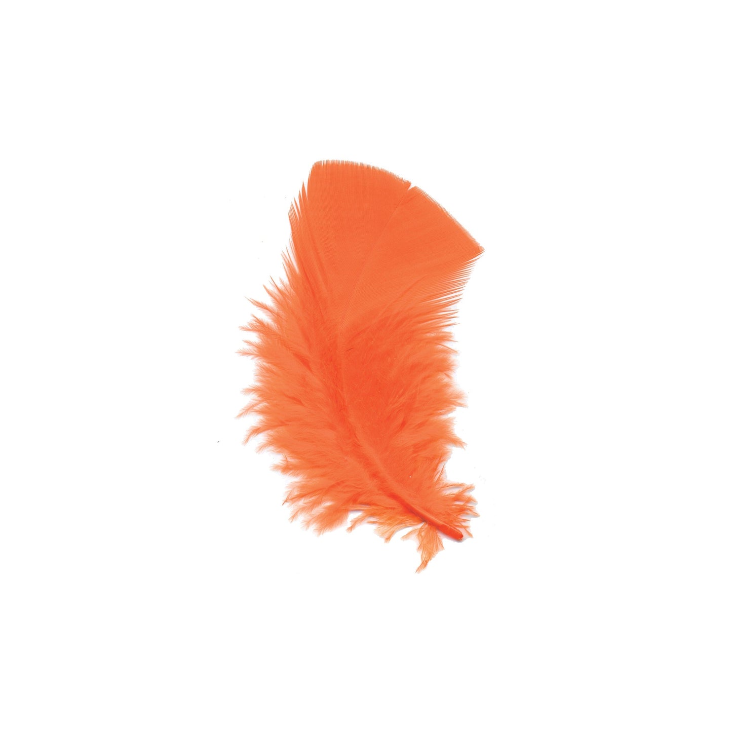 Loose Turkey Plumage Feathers 3-5" - Orange