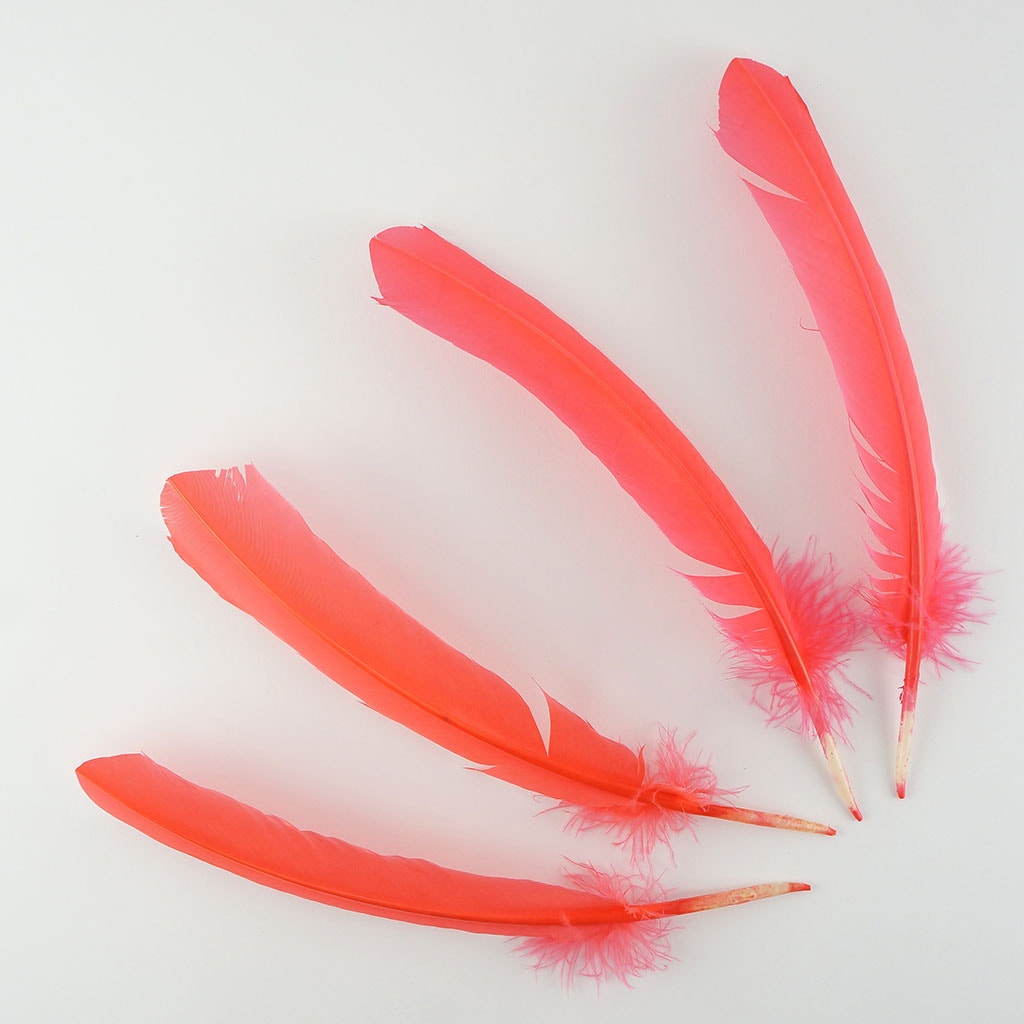 Dyed Turkey Quill Feathers -Hot Orange