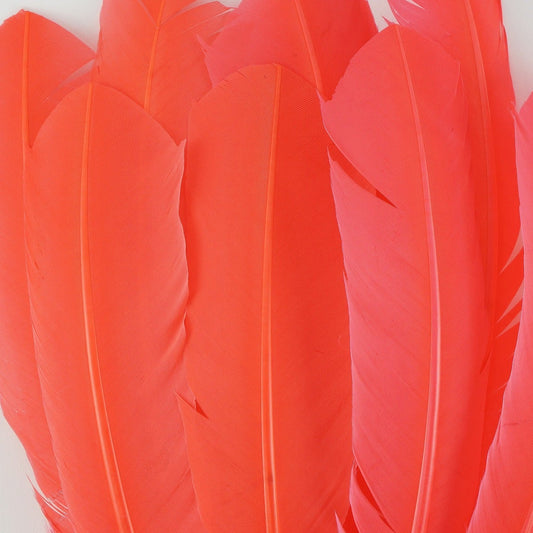Turkey Feather Quills Selected - Hot Orange