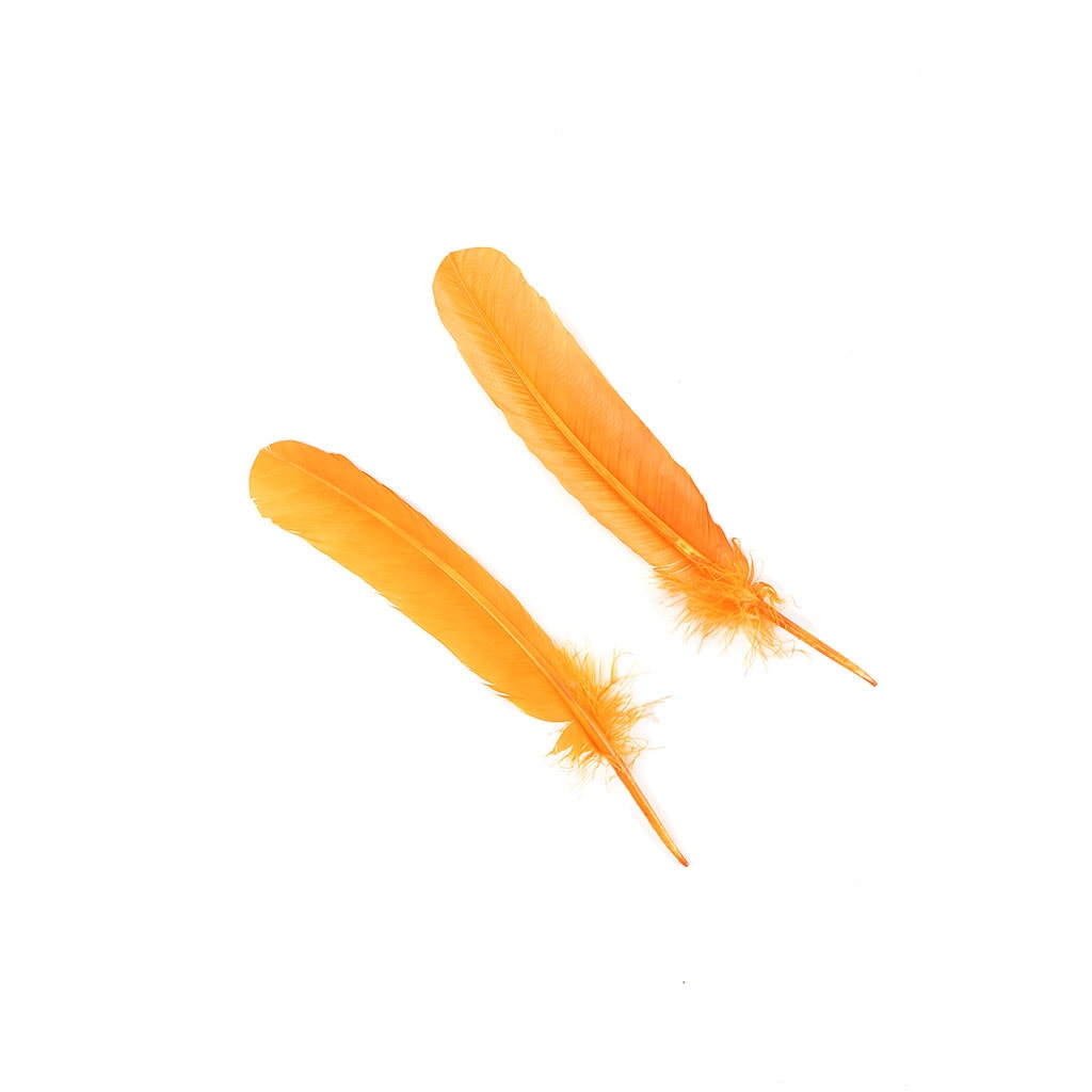 Turkey Quills Dyed Feathers - Mango Orange