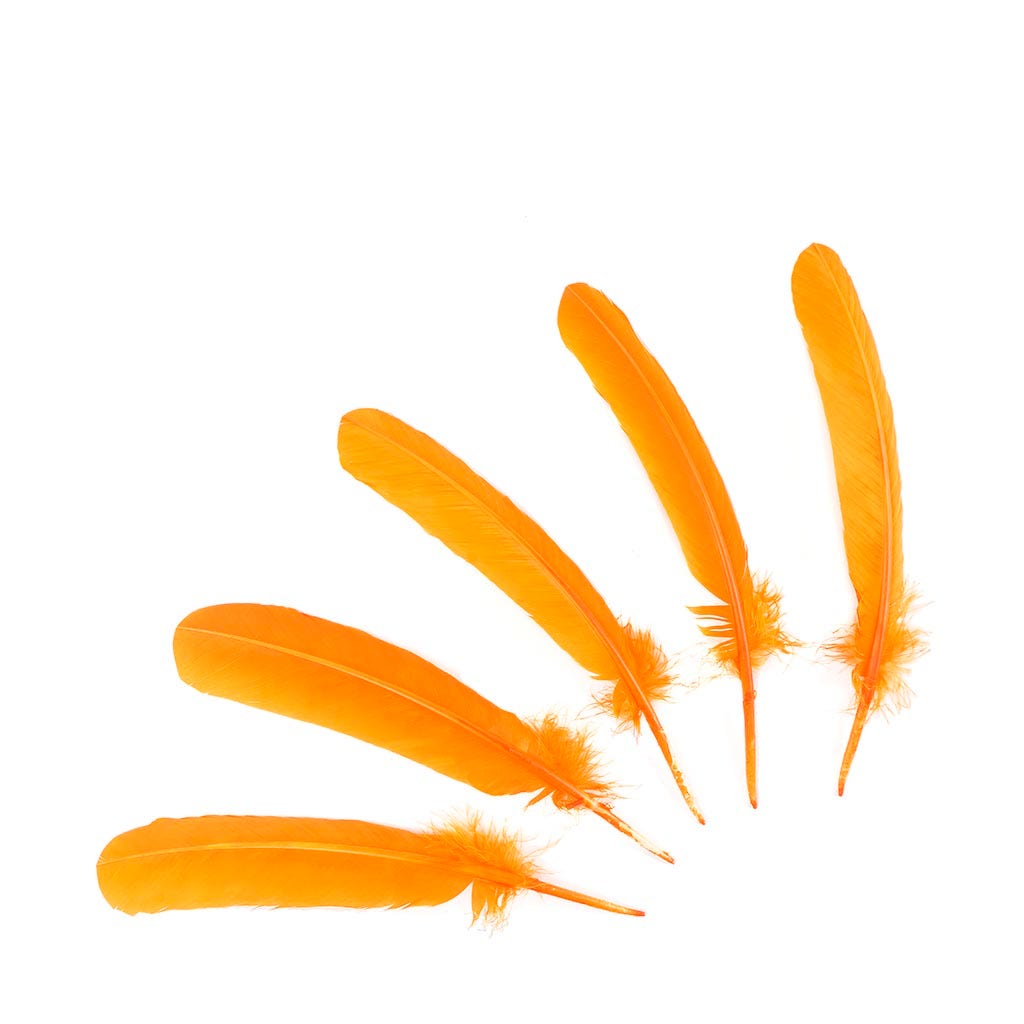 Turkey Quills Selected - Mango