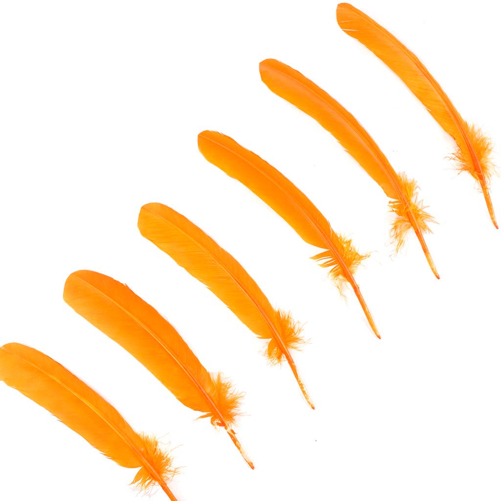 Turkey Quills Selected - Mango