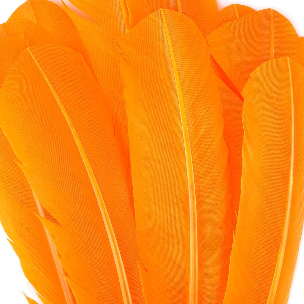 Turkey Quills Selected - Mango