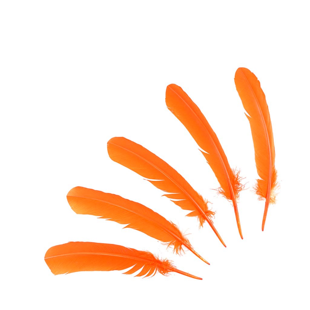 Turkey Quills Selected - Orange