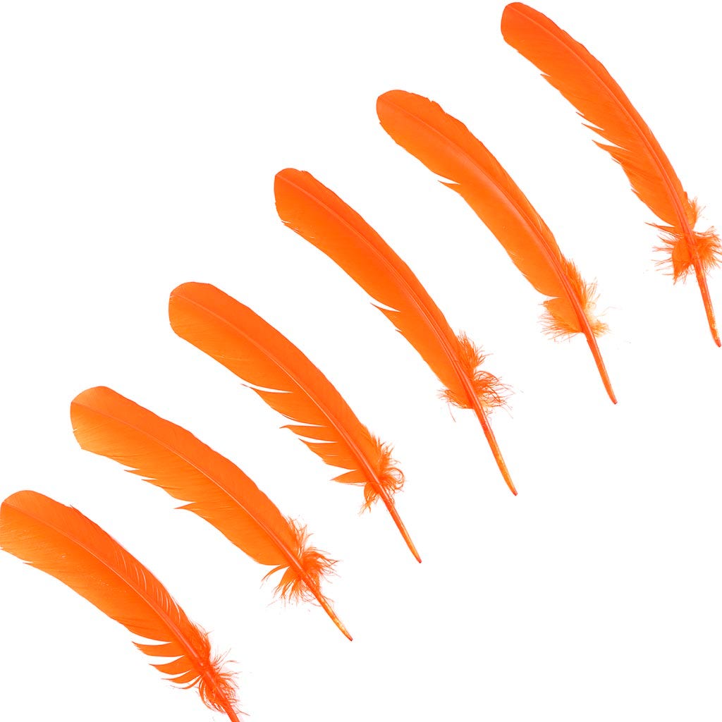 Turkey Quills Selected - Orange