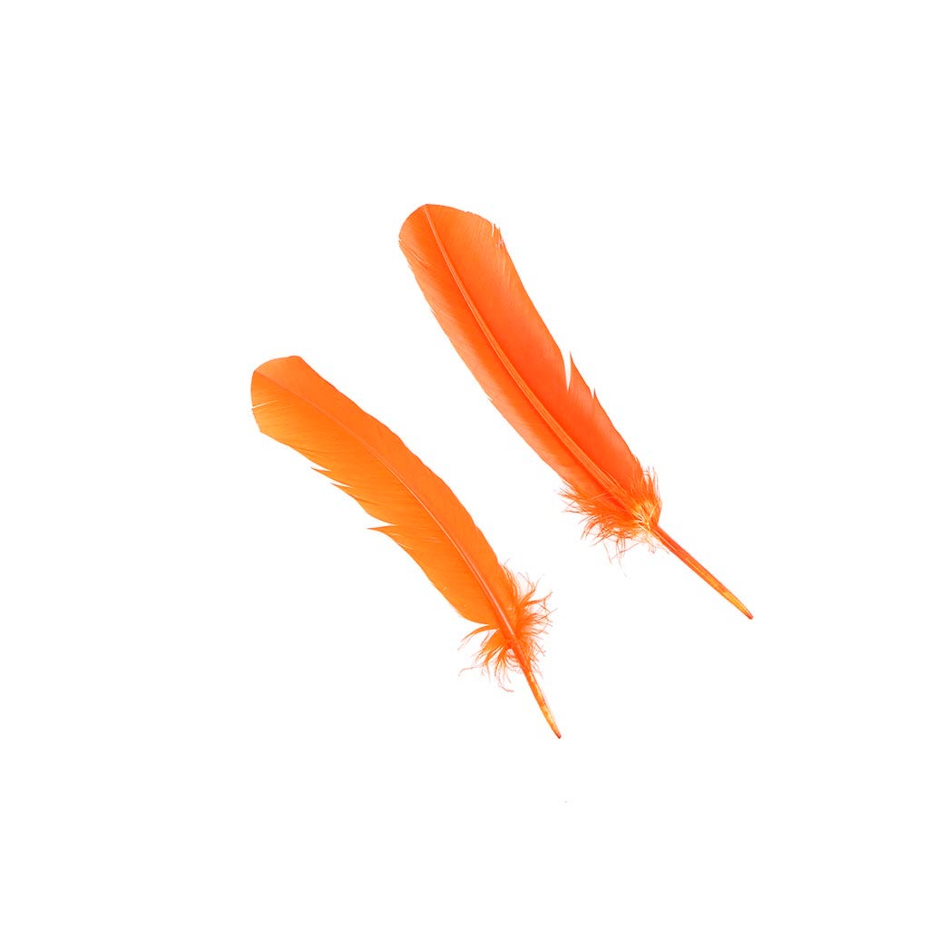 Turkey Quills Selected - Orange