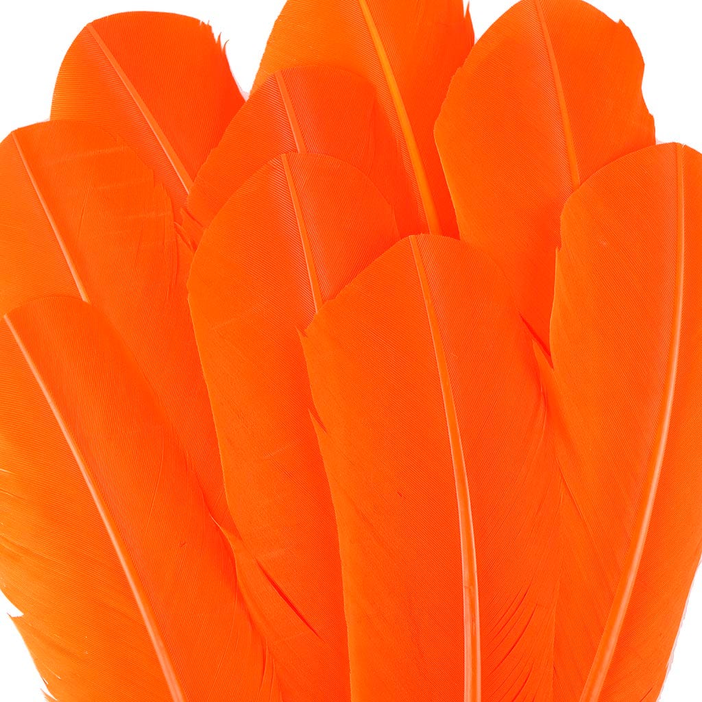 Turkey Quills Selected - Orange