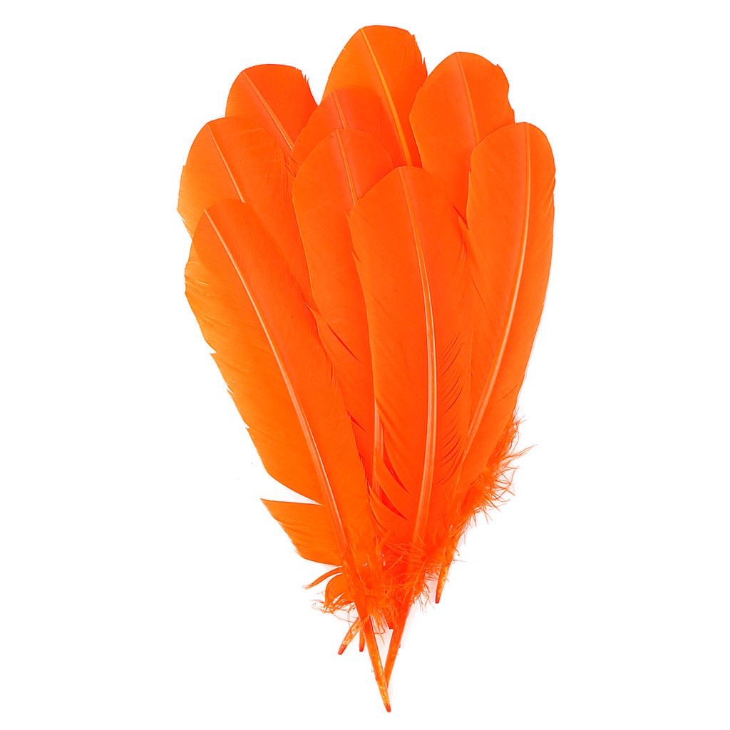 Turkey Quills Selected - Orange