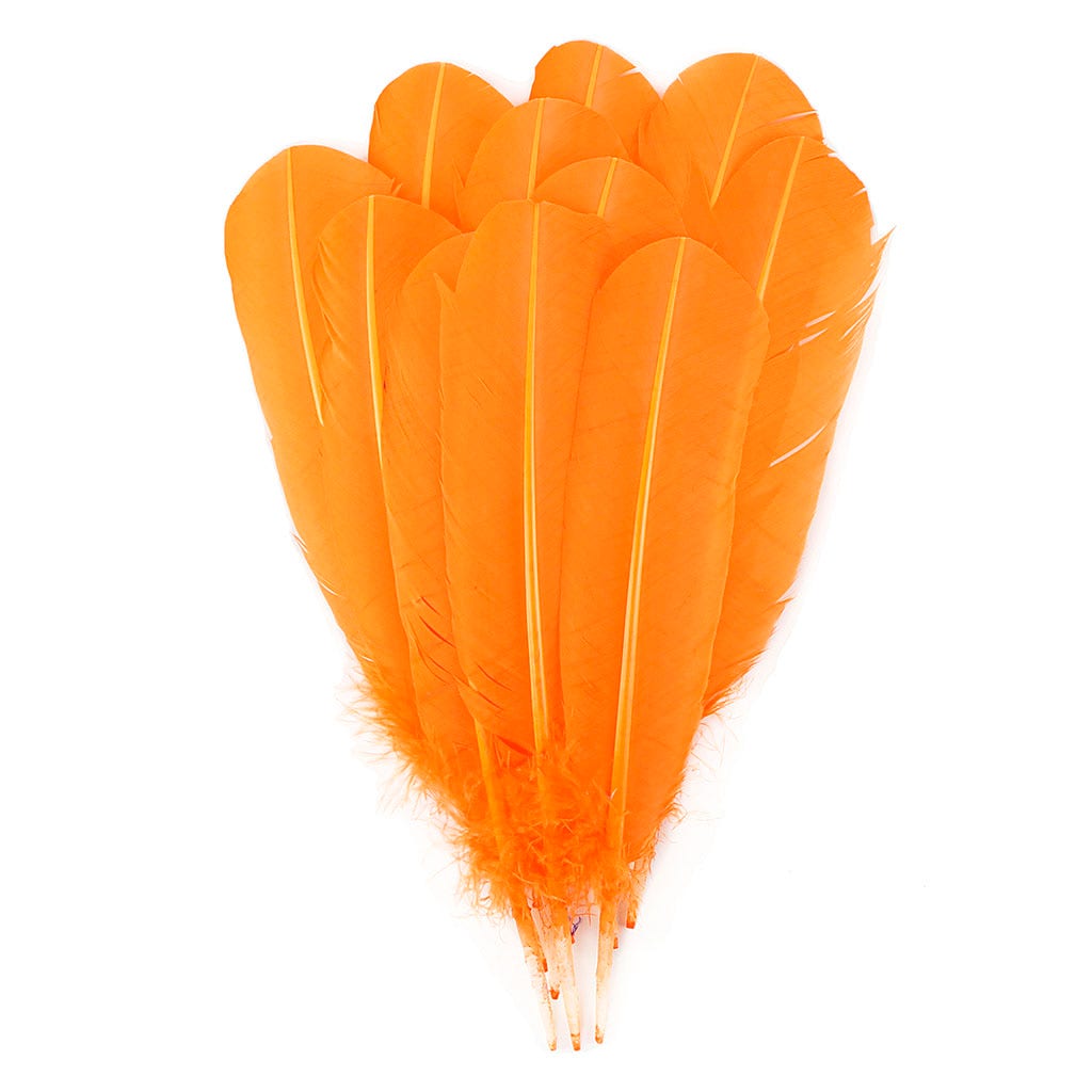 Turkey Quills Selected - Mango