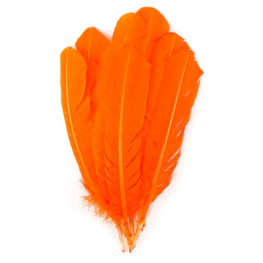 Turkey Quills Selected - Orange