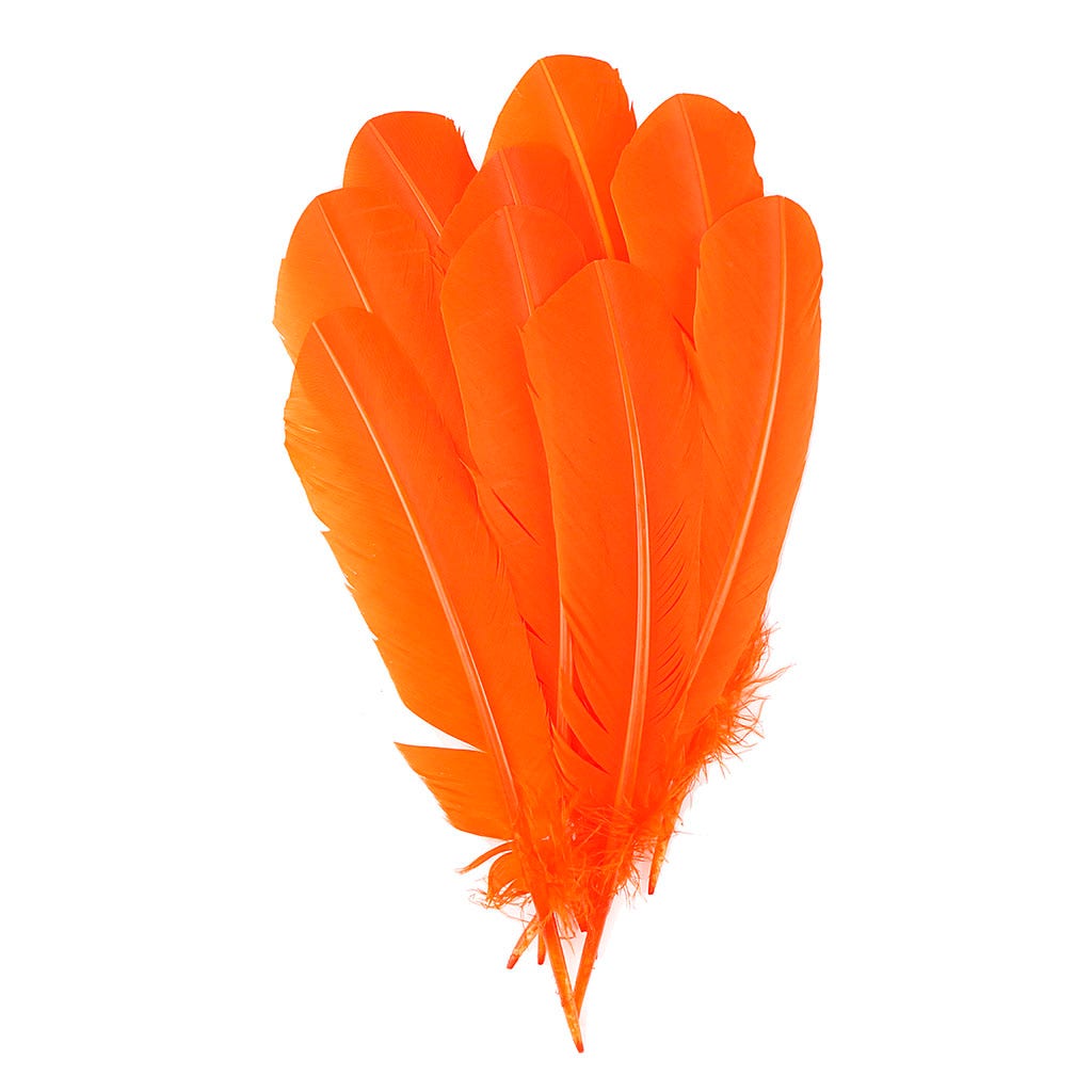 Turkey Quills by Pound - Left Wing - Orange