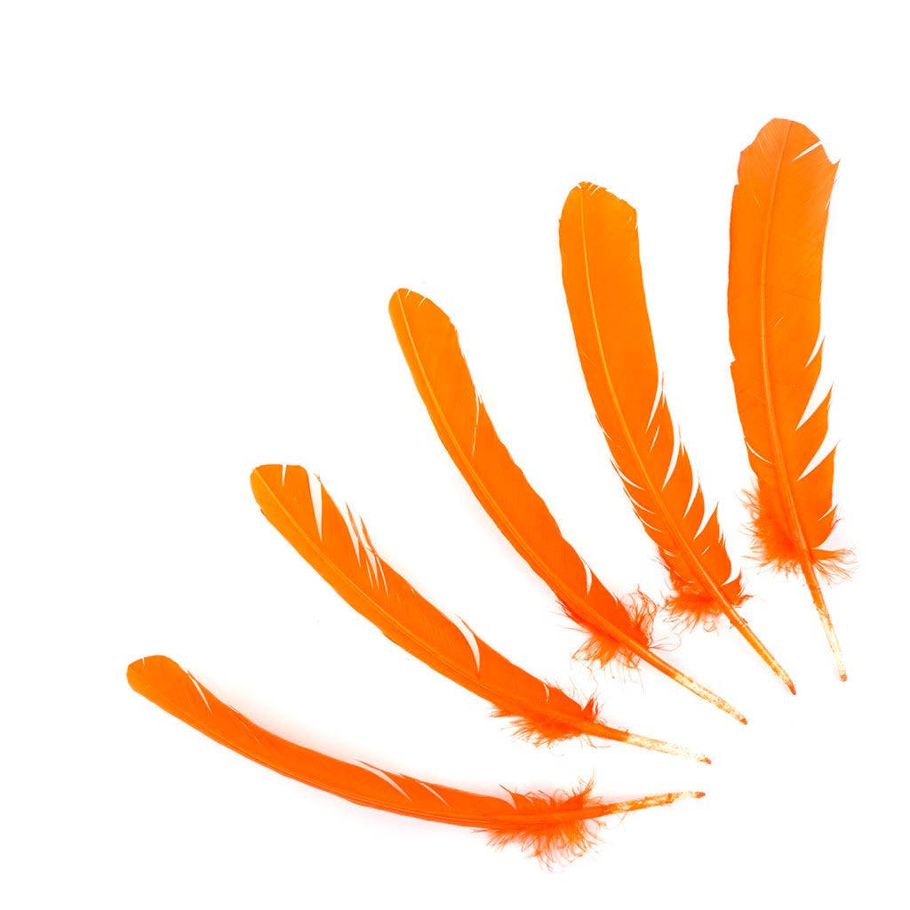 Turkey Quills by Pound - Right Wing - Orange