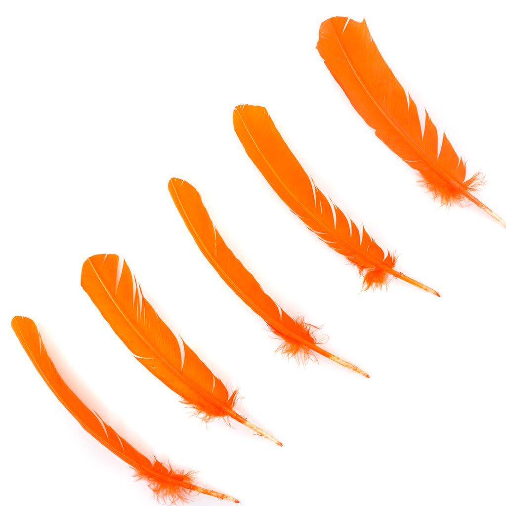 Turkey Quills by Pound - Right Wing - Orange