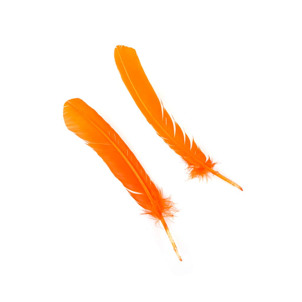 Turkey Quills by Pound - Right Wing - Orange