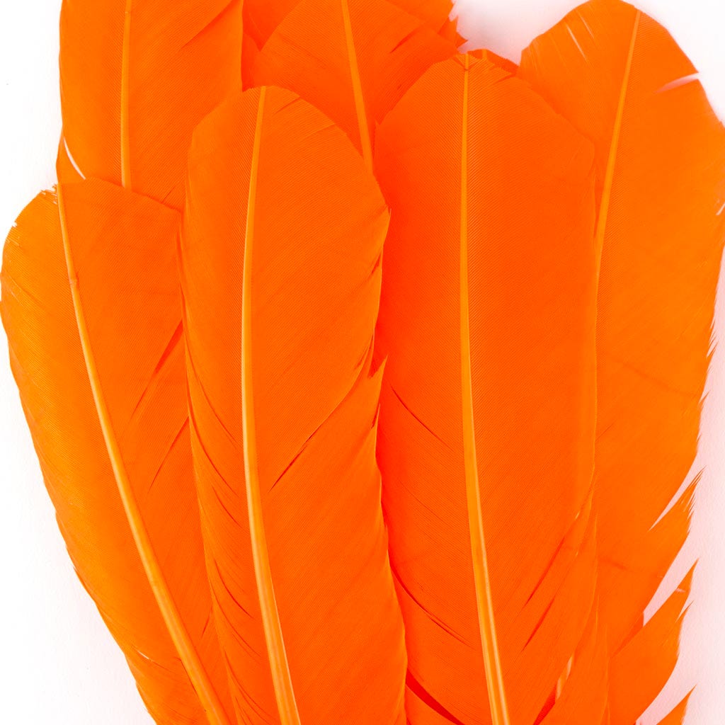 Turkey Quills by Pound - Right Wing - Orange