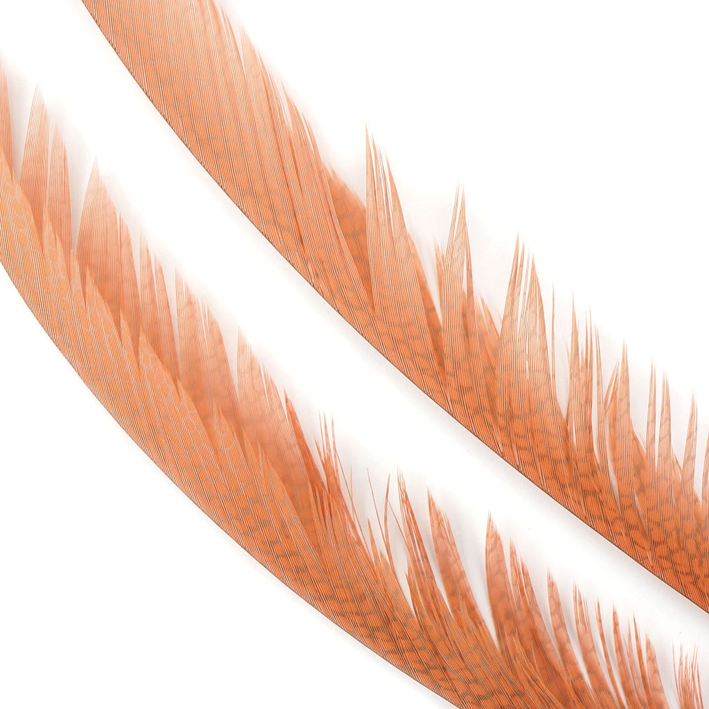 Golden Pheasant Center Tails Dyed Apricot Blush