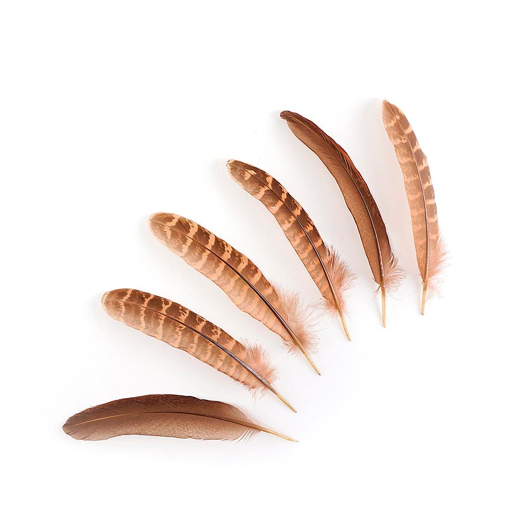 Pheasant Tail Feathers Dyed - Cinnamon