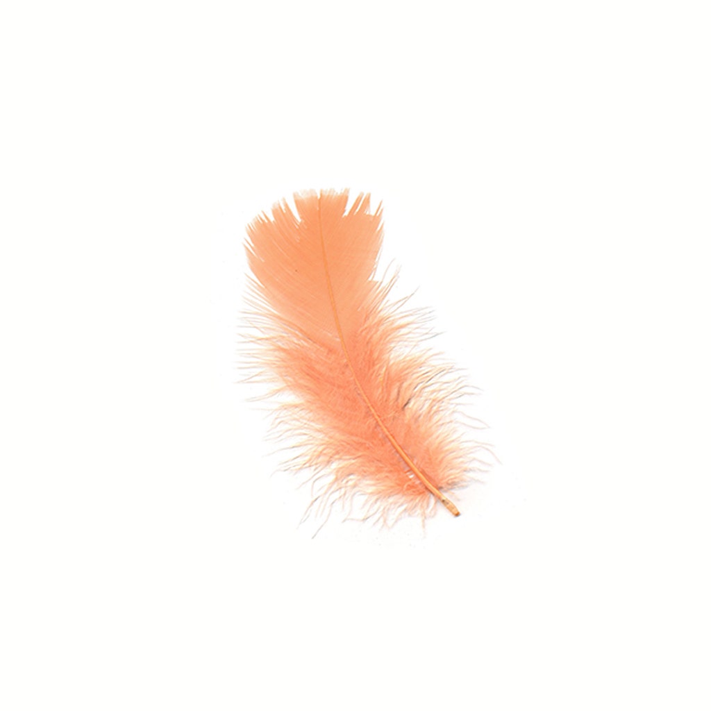 Loose Turkey Plumage Feathers - Shrimp