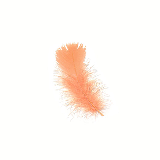 Loose Turkey Plumage Feathers - Shrimp