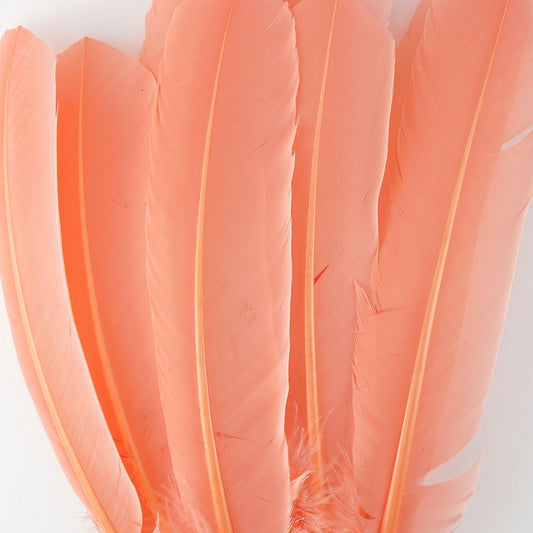 Turkey Quills Dyed Feathers Apricot Blush