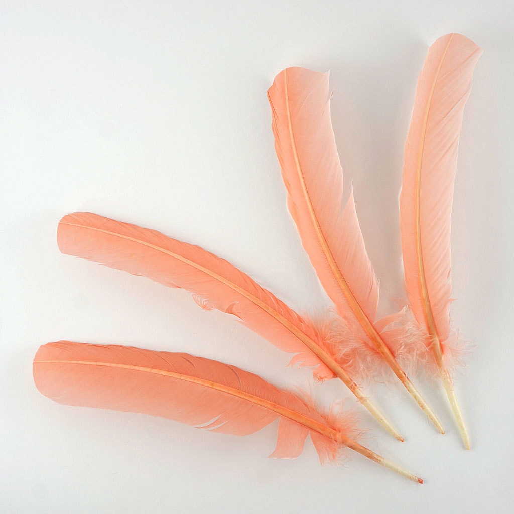 Turkey Quills Dyed Feathers Apricot Blush