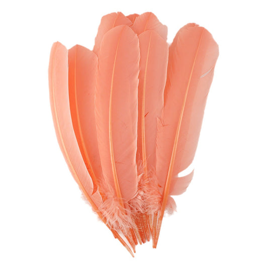 Turkey Quills Selected Apricot Blush