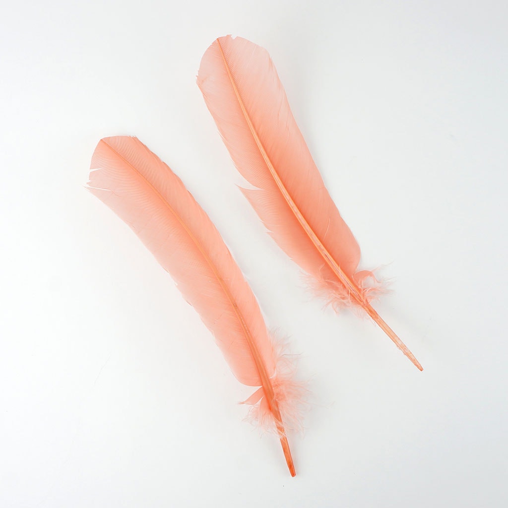 Turkey Quills by Pound - Left Wing - Apricot Blush