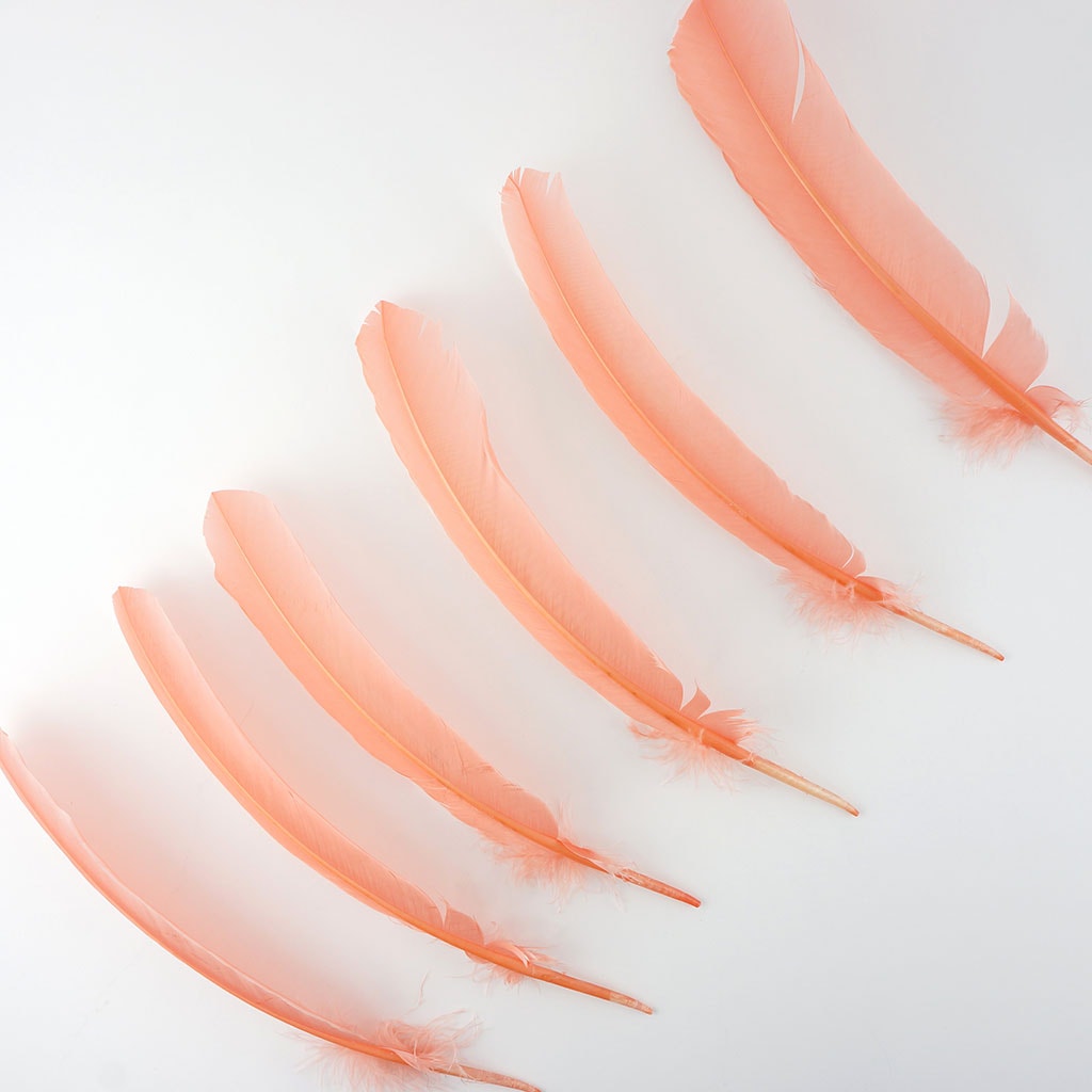 Turkey Quills by Pound - Right Wing - Apricot Blush